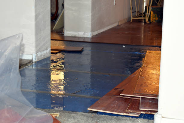 Professional Burst Pipe Cleanup technician working in East Northport, NY